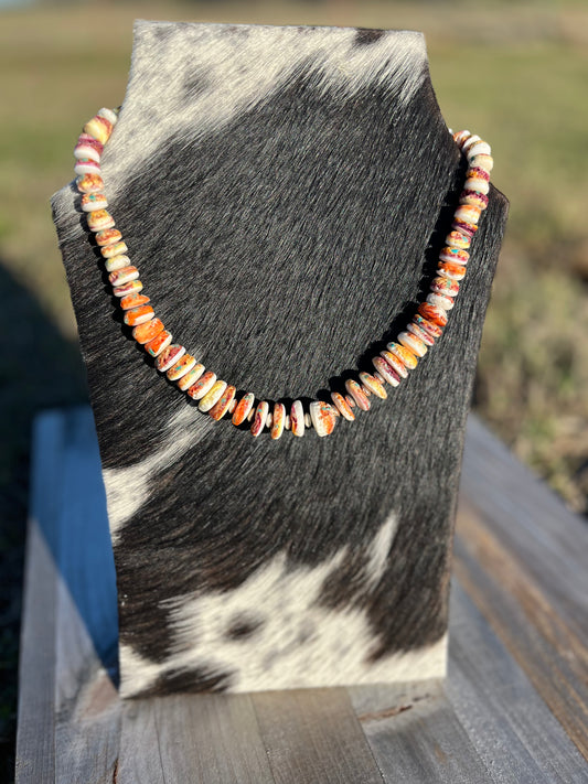 Graduated Spiny Necklace with Varied Colors